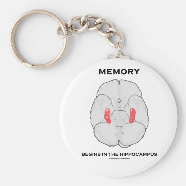 Minnet börjar i Hippocampus (psykologi) Nyckelring (Framsidan)