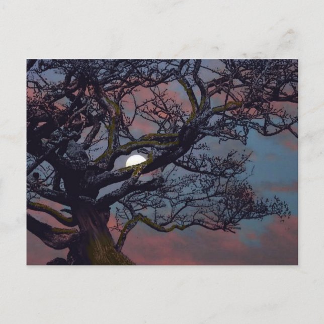 Minnet i Måne Vykort (Framsida)