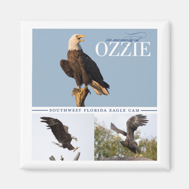 Minnet till Ozzie Magnet (Framsidan)