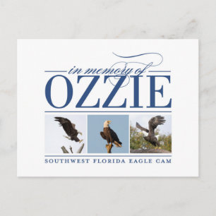 Minnet till Ozzie Postcard Vykort