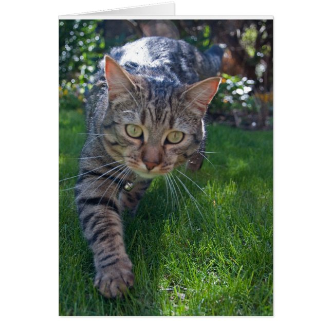 Minnie03 Hälsningskort (Framsidan)