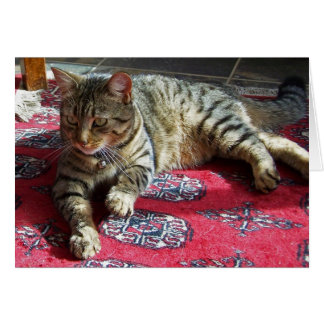 Minnie i Sunshine2 Hälsningskort