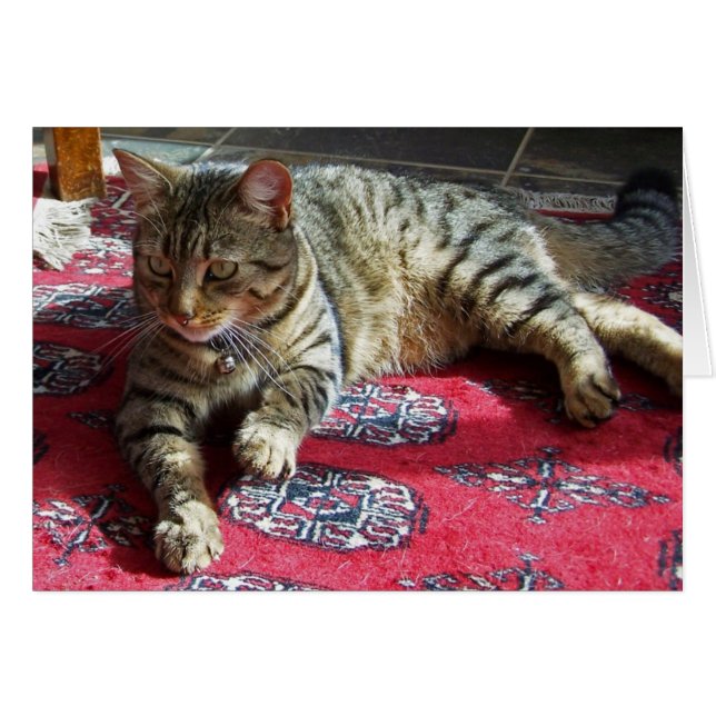 Minnie i Sunshine2 Hälsningskort (Framsidan Horizontal)