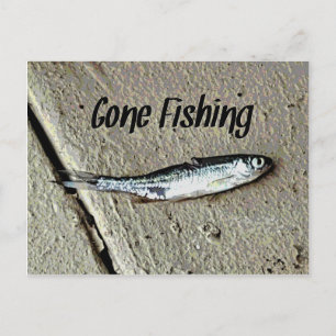 Minnow Bait "Borta fiske" Vykort