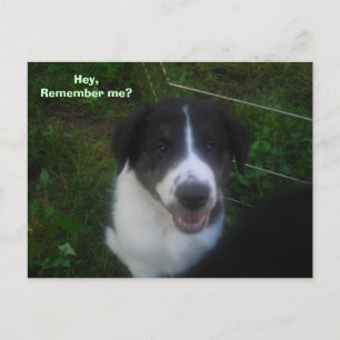 Minns du mig? vykort