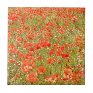 MINNS MIG FÖR ATT BELÄGGA MED TEGEL KAKELPLATTA