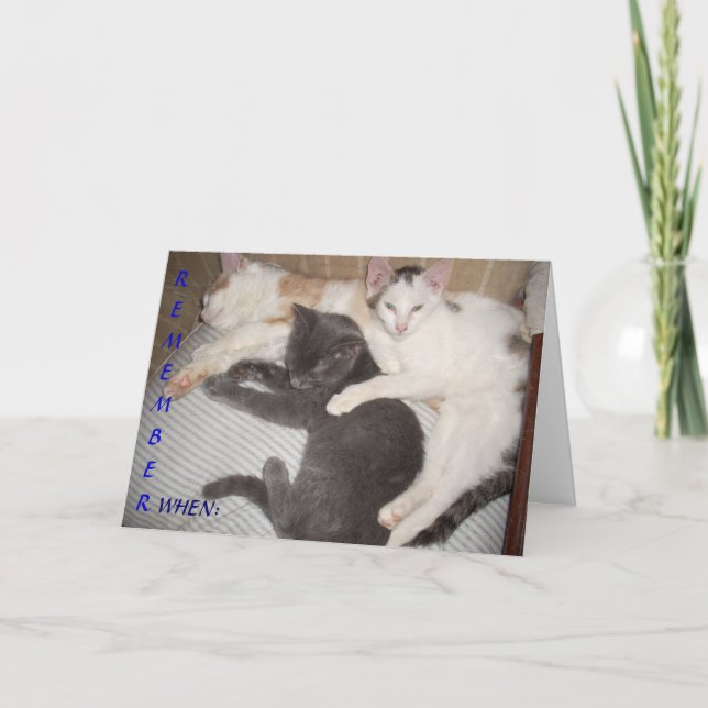 MINNS NÄR... KORT (Framsida)