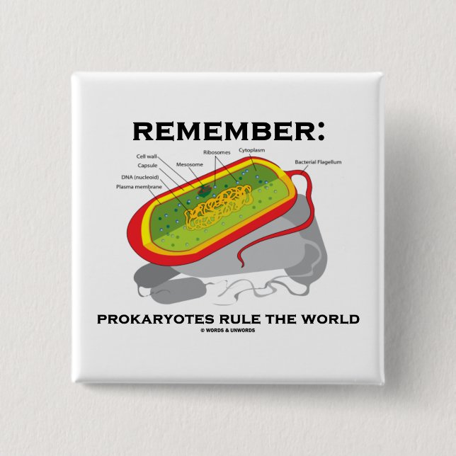 Minns: Prokaryotes härskar världen Knapp (Framsida)