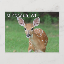 Minocqua Wisconsin Postcard Souvenir Vykort