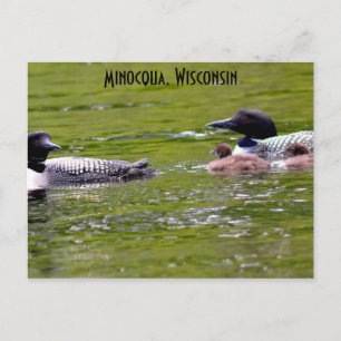 Minocqua Wisconsin vycard Sjö Up North Loons Vykort