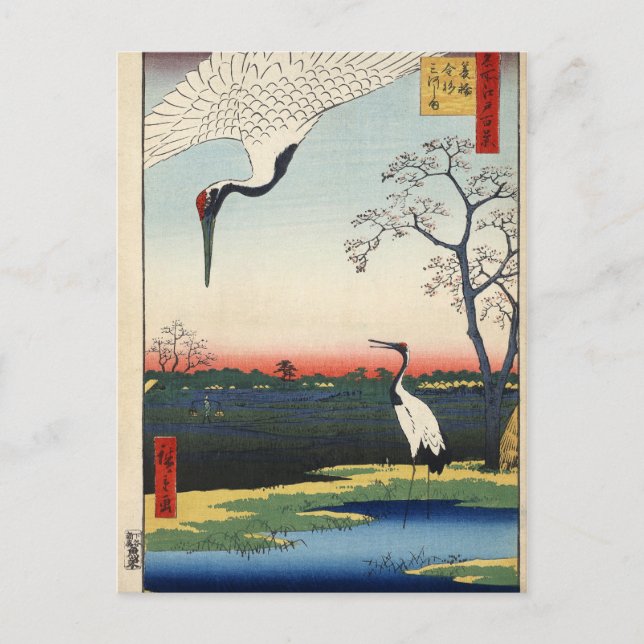 Minowa, Kanasugi, Mikawashima. Vykort (Framsida)