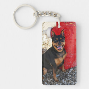 MInPin Lycka