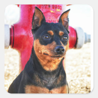 MinPinOne Fyrkantigt Klistermärke