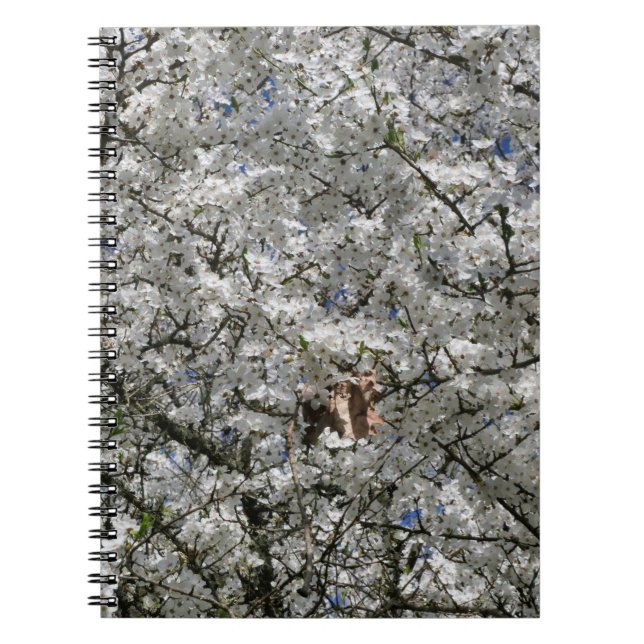 Minrabelle Blommar Spiral bärbar dator Anteckningsbok (Framsidan)