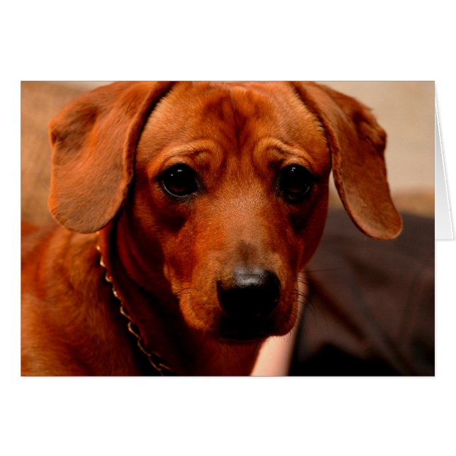 minska hälsningskort (Framsidan Horizontal)