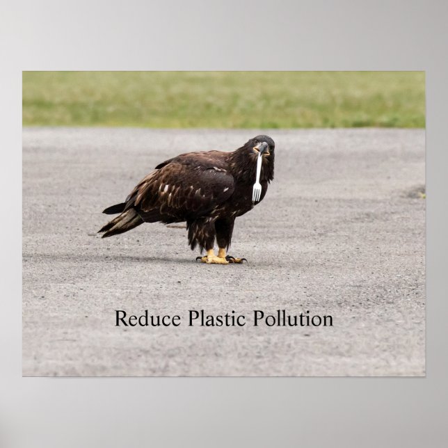 Minska plastföroreningar poster (Framsidan)