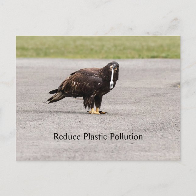 Minska plastiska föroreningar vykort (Framsida)