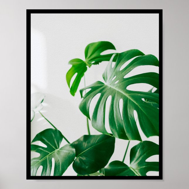 Minsta botaniska foto-Ram-vägg Poster (Framsidan)