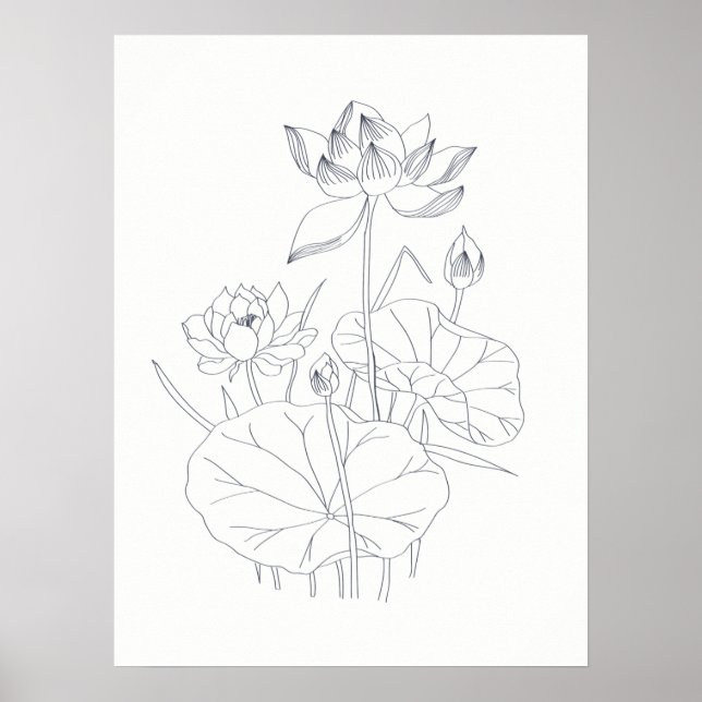 Minsta Elegant Vaterlily Blommigt Botaniskt skiss Poster (Framsidan)