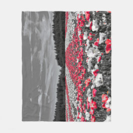 Minsta selektiva Färg-foto i nedre Fält Fleecefilt