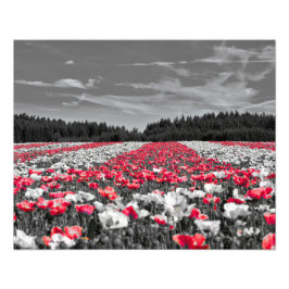 Minsta selektiva Färg-foto i nedre Fält Fototryck