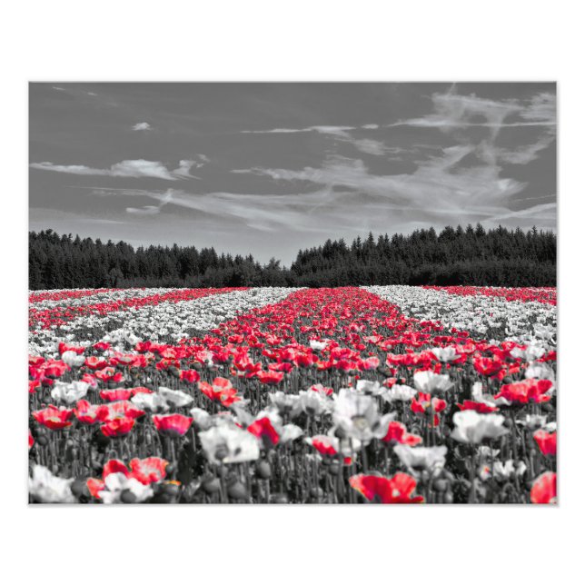 Minsta selektiva Färg-foto i nedre Fält Fototryck (Framsidan)