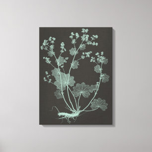 Mint & Charcoal Nature Study I Canvastryck