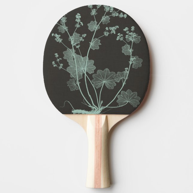 Mint & Charcoal Nature Study I Pingisracket (Framsidan)