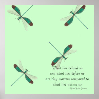 Mint Dragonflies What Ligger Bakom oss Poster