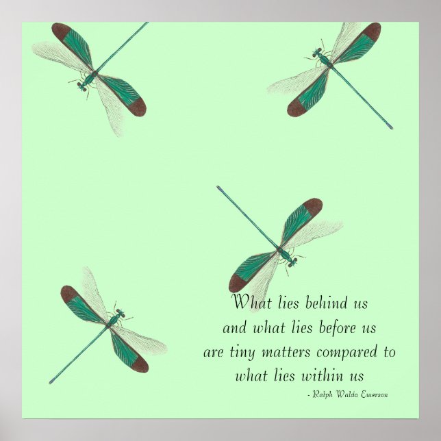 Mint Dragonflies What Ligger Bakom oss Poster (Framsidan)