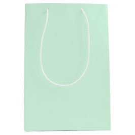 Mint Gift Bag
