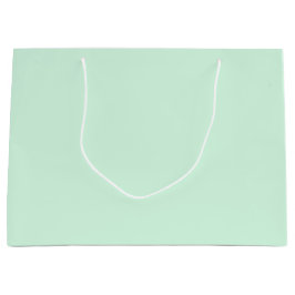 Mint Gift Bag