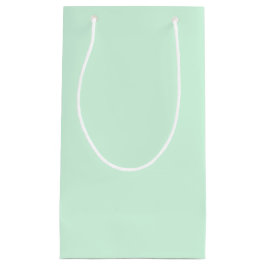 Mint Gift Bag