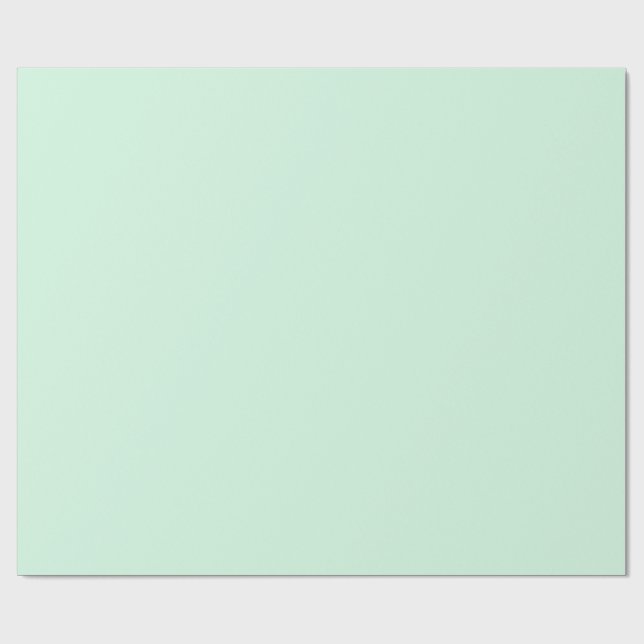Mint Gift Bag Presentpapper (Platt)