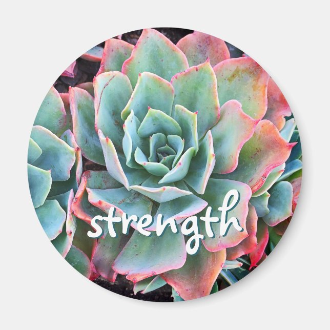 Mint Grönt Cactus Succulent Photo Strength-skript Magnet (Framsidan)