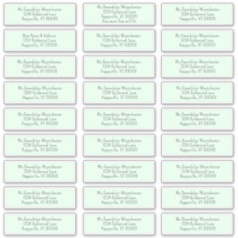 Mint Grönt enskilda Adressetiketter för e-post Klistermärken