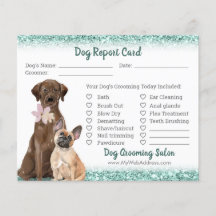 Mint Grönt Glitter Hund Grooming Report Card Flyer
