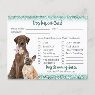 Mint Grönt Glitter Hund Grooming Report Card Flyer