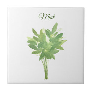 Mint Herb Greenery Kitchen Culinary Grönt Chic Kakelplatta