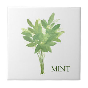 Mint Herb Greenery Kitchen Thyme Sage Grönt Kakelplatta