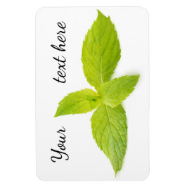 Mint lövs magnet