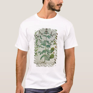 Mint: Menthacrispa T-shirt