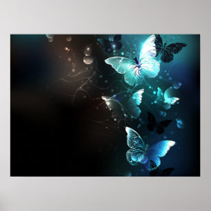 Mint Nattfjärilar Poster