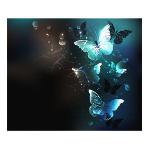 Mint Night Butterflies Fototryck