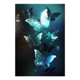 Mint Night Butterflies Fototryck