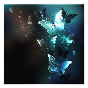Mint Night Butterflies Fototryck