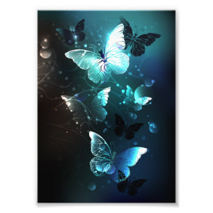Mint Night Butterflies Fototryck