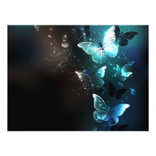 Mint Night Butterflies Fototryck