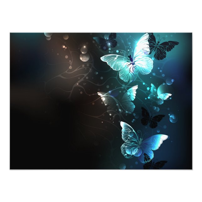 Mint Night Butterflies Fototryck (Framsidan)
