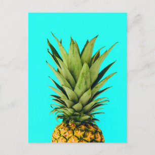 Mint Pineapple Top Postcard Vykort
